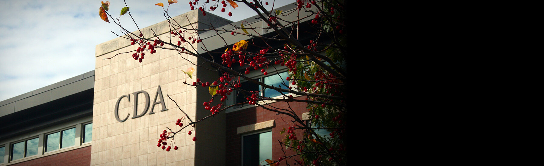 About The Dakota County CDA Dakota County Community Development Agency About The Dakota County CDA Dakota County Community Development Agency